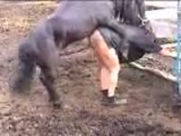 Big ass fat whore got smashed by horse in the farm xxx